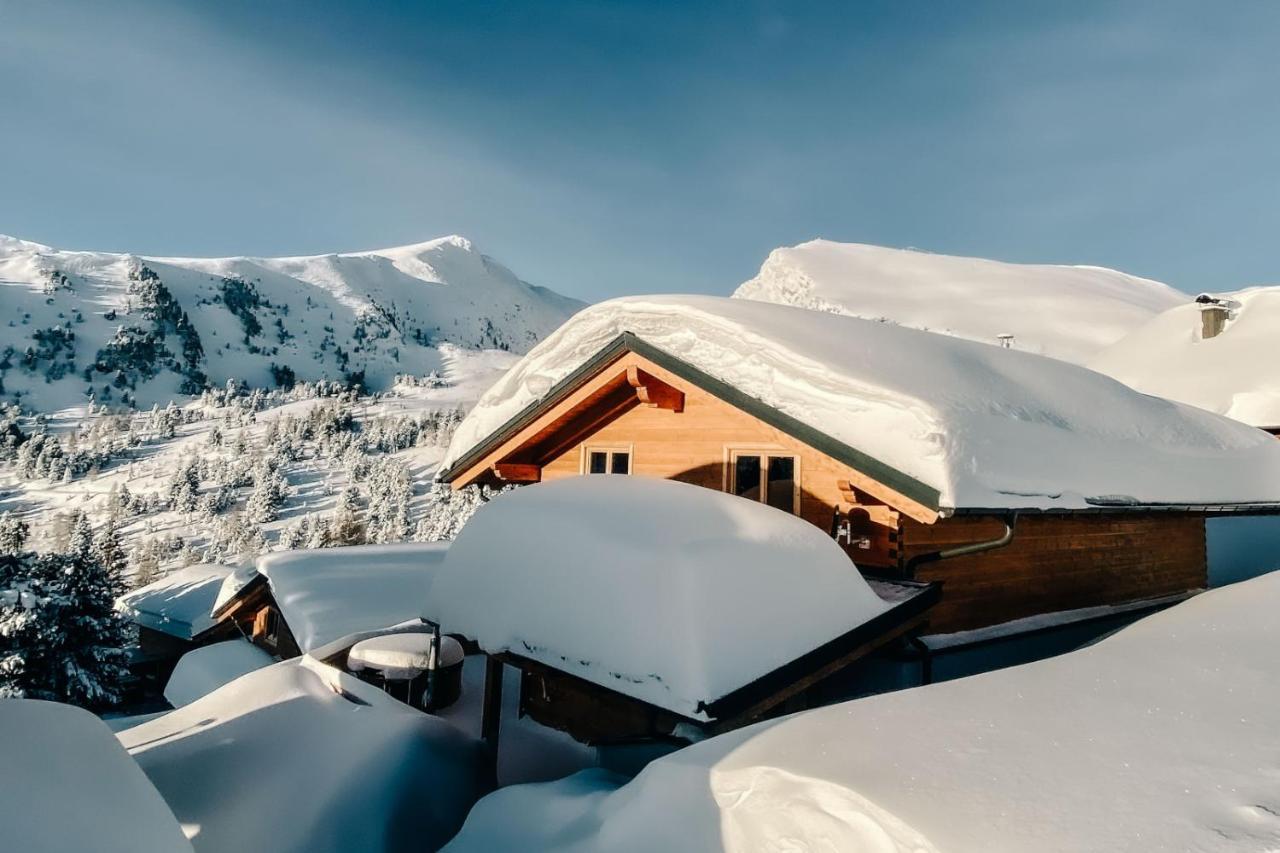 Heidi Chalets Falkert Heidialm - Chalets Bergwinter Patergassen Εξωτερικό φωτογραφία